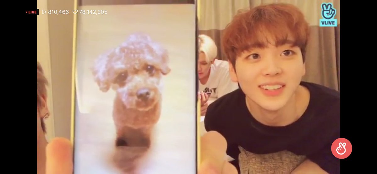 appledohyonee's tweet photo. 존나기엽다 시박 ㅋㅋ
형준이랑 한별이 https://t.co/RaLrFxLTIn