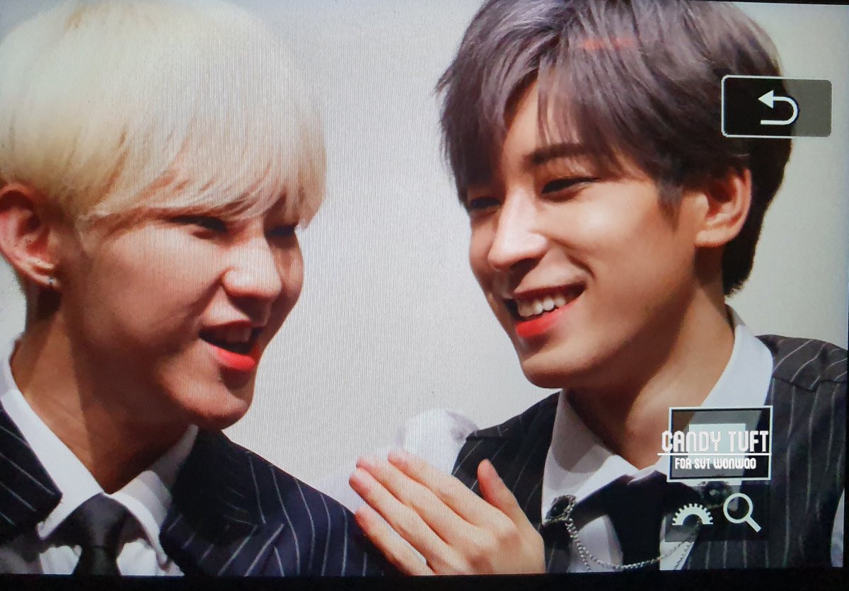 low quality soonwoo (@lqwonhosh) on Twitter photo 