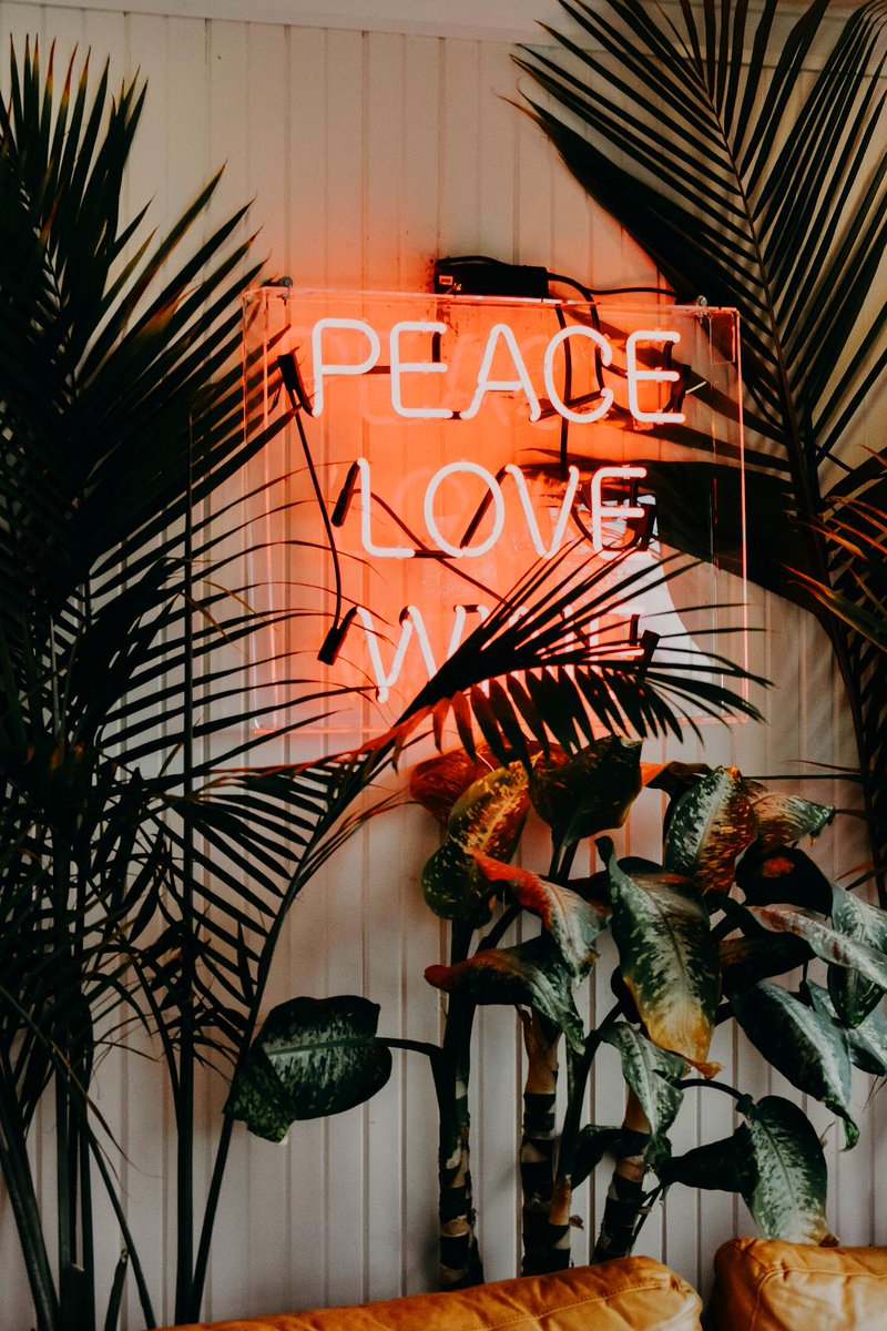 Live and let live. ✌️ #InternationalDayofPeace