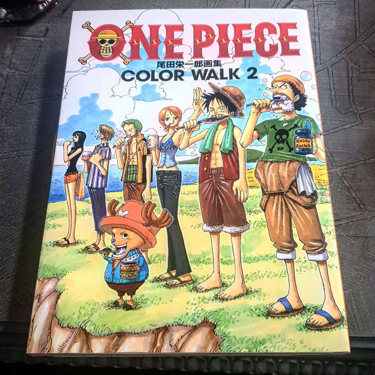Osan0's tweet image. Oficialmente soy un nakama. #onepiece #colorwalk