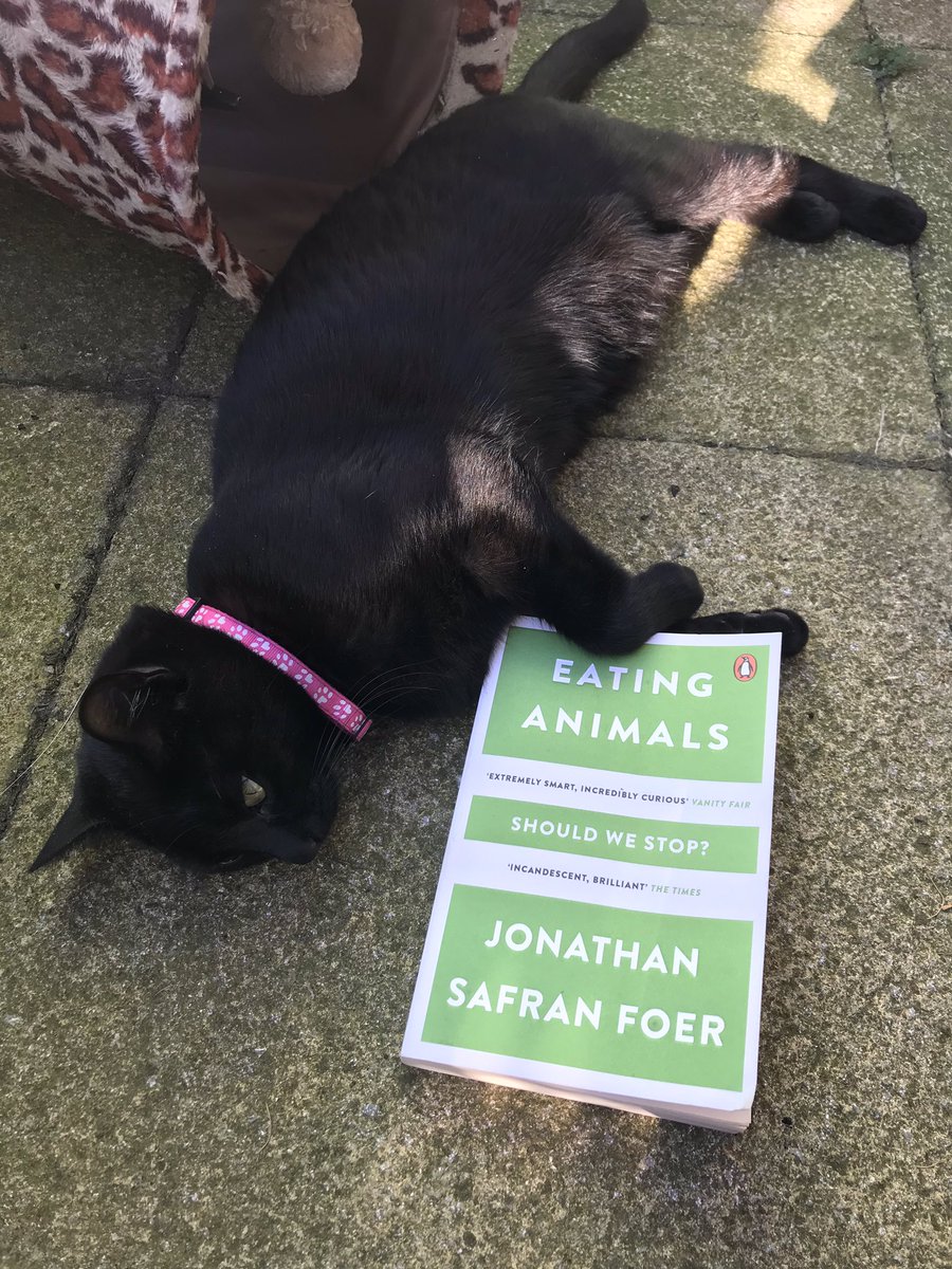 TheGreenEcoCat's tweet photo. #Currentlyreading โEating Animals Should We Stopโ. If youโve read this already what are your thoughts? Iโm learning so much from it. #veganreader #ecoreader #endspeciesism https://t.co/XS6Kv3WSkJ