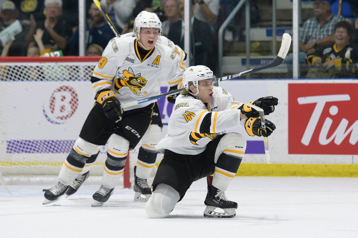 Sarnia Sting tweet media