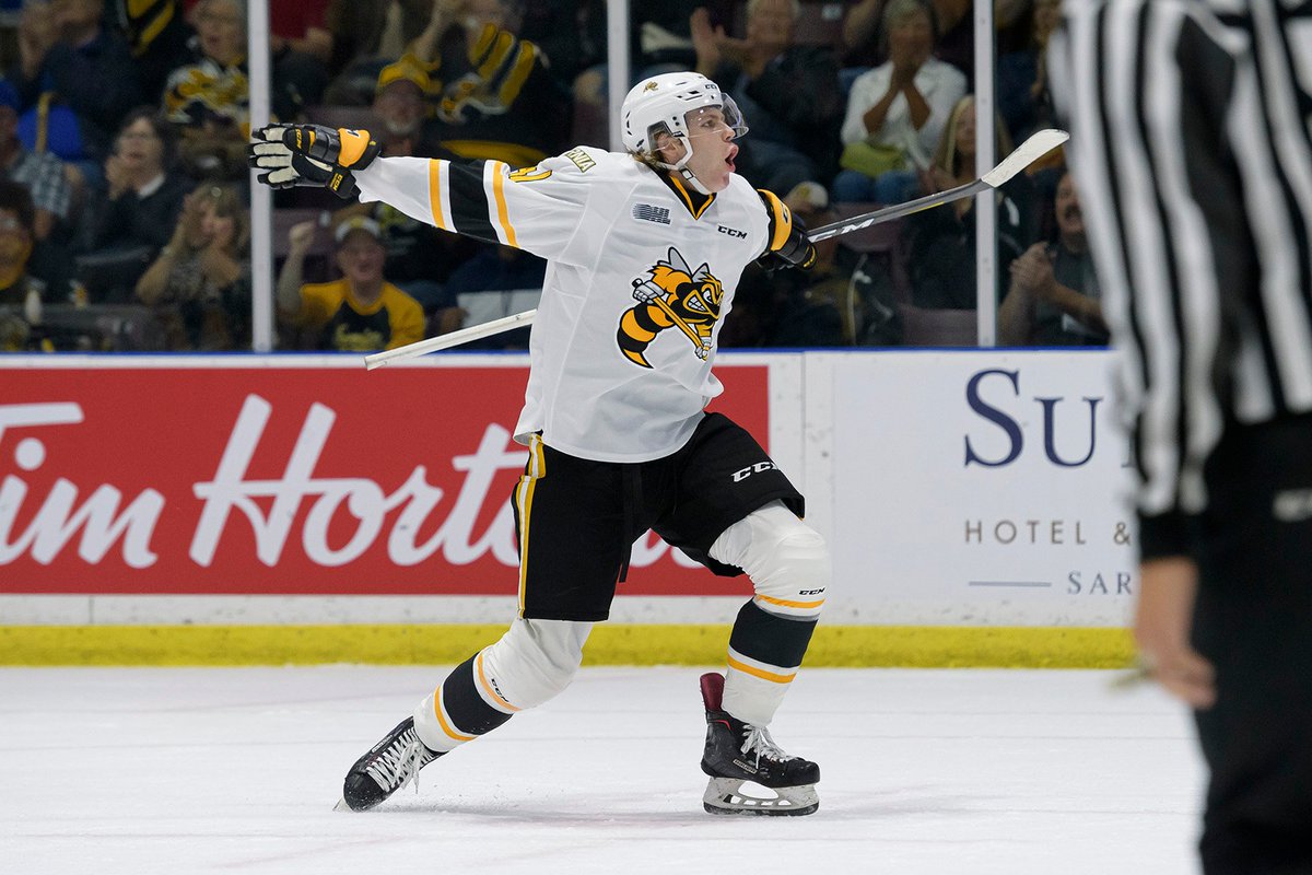 Sarnia Sting tweet media