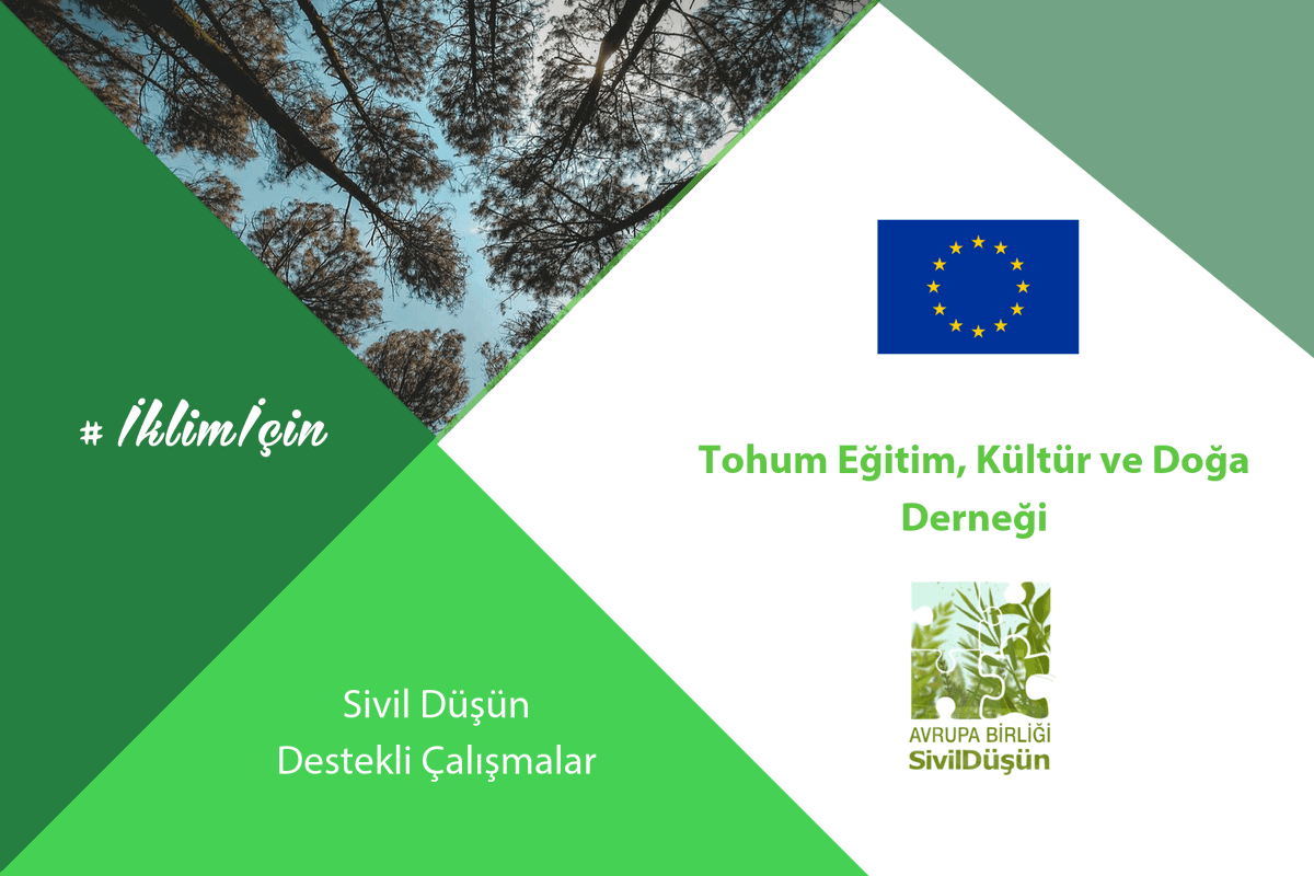 #İklimİçin Sivil Düşün destekli çalışmaları paylaşmaya devam ediyoruz. <a href="/TohumDernegi/">Tohum Dernegi</a> “Ağaçlandırma, Erozyon Kontrolü ve Rehabilitasyon Çalışmaları için Pratik Bilgiler” kitabının dağıtımı için Sivil Düşün’den destek aldı. Yayını indirmek için👇🏽
sivildusun.net/iklim-icin-des…