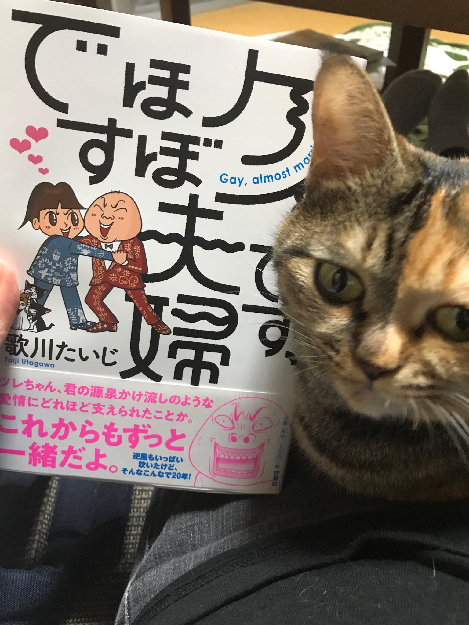 ゲイです Twitter Search Twitter