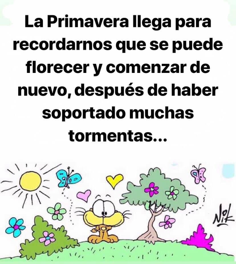 Un TaL... LaNdO ツ tweet media