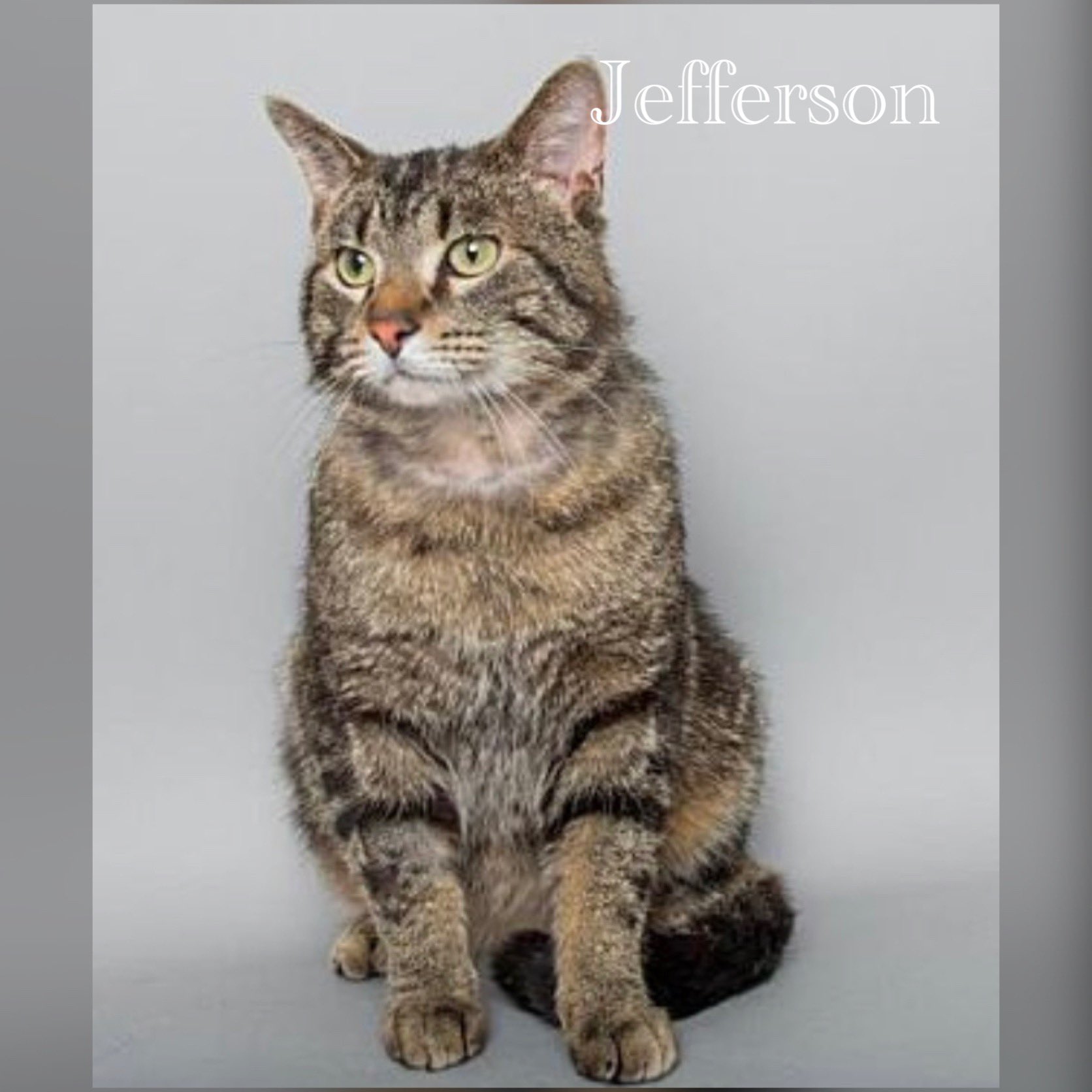 Shelter to Home on Twitter visit Shelter to Home today From 124