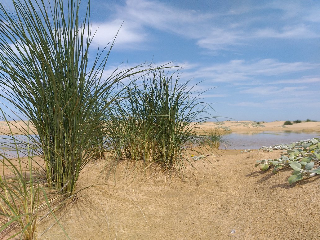 So many events and festivals happening this long weekend, we are spoiled for choice on the #GardenRoute!  

What are YOU up to this #weekend?

#PlettHighFive #InternationalCoastalCleanup #Vetplantfees #OysterCatcherTrailRun #StrawberryFestival #K2C #DrEvil #K2C2019 #SouthAfrica