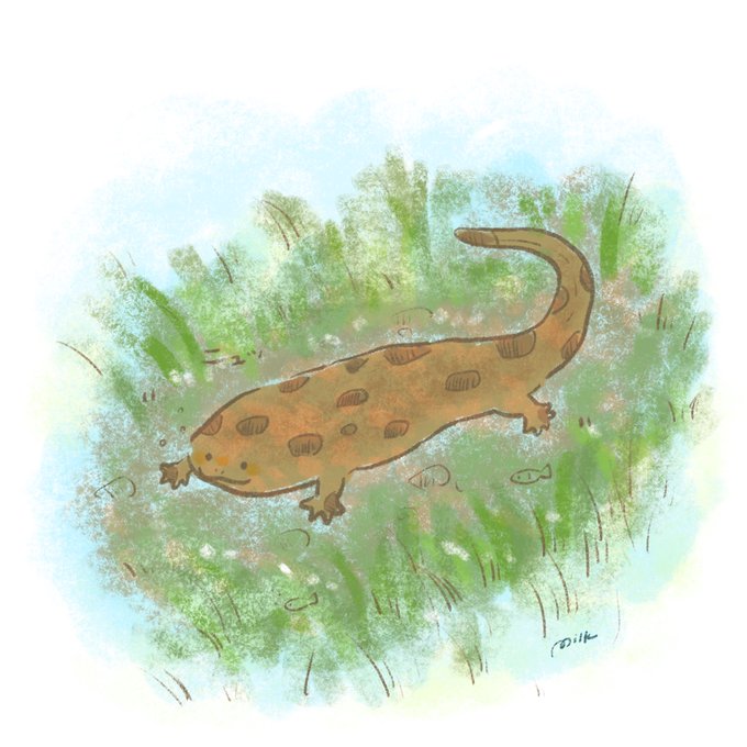 サンショウのtwitterイラスト検索結果 古い順