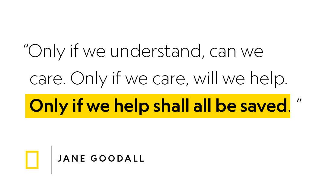 After all, togetherness helps climate action go further, faster and stronger #ClimateStrikes