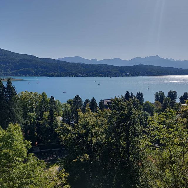 ViennaRunning's tweet photo. Warum gehe ich eigentlich nicht Segeln? Soll ja ein schöner Sport sein. #wsut #wsut2019 https://t.co/zuuJ2T80UO https://t.co/RS7RESp34u