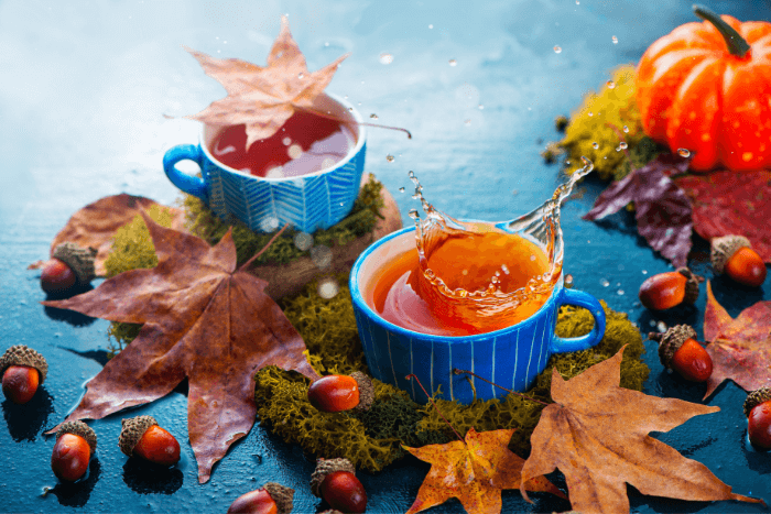TheBloomingTea's tweet photo. Fall is also a happy time for "seasonal" tea drinkers. The chilly mornings and evenings of fall even attract the non-regular tea consumers... .

Wanna know the benefits of tea in fall??? Read our blog post...
https://t.co/WsOdsyenL5 https://t.co/Gqe2PteDIB