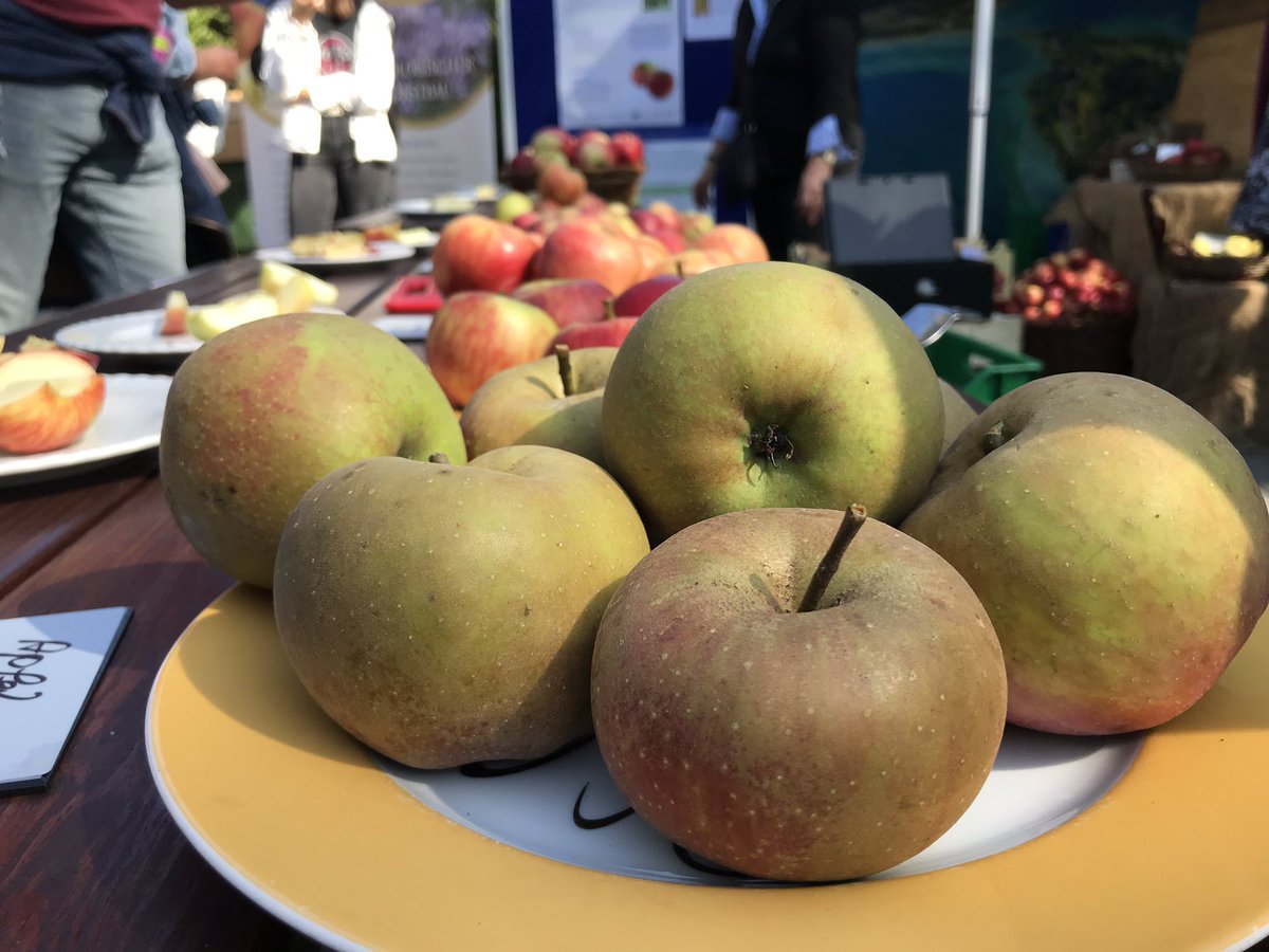 mainau's tweet photo. 🍎🍏🍎 Heute ist der Iss-einen-Apfel-Tag! Passend dazu zeigen wir beim Mainau-#Apfeltag u.a. wie man das knackige Obst zu leckerem Saft presst! Kommen Sie vorbei und probieren Sie die frische Köstlichkeit 😋#Apfelwochen https://t.co/d5yAAulav5