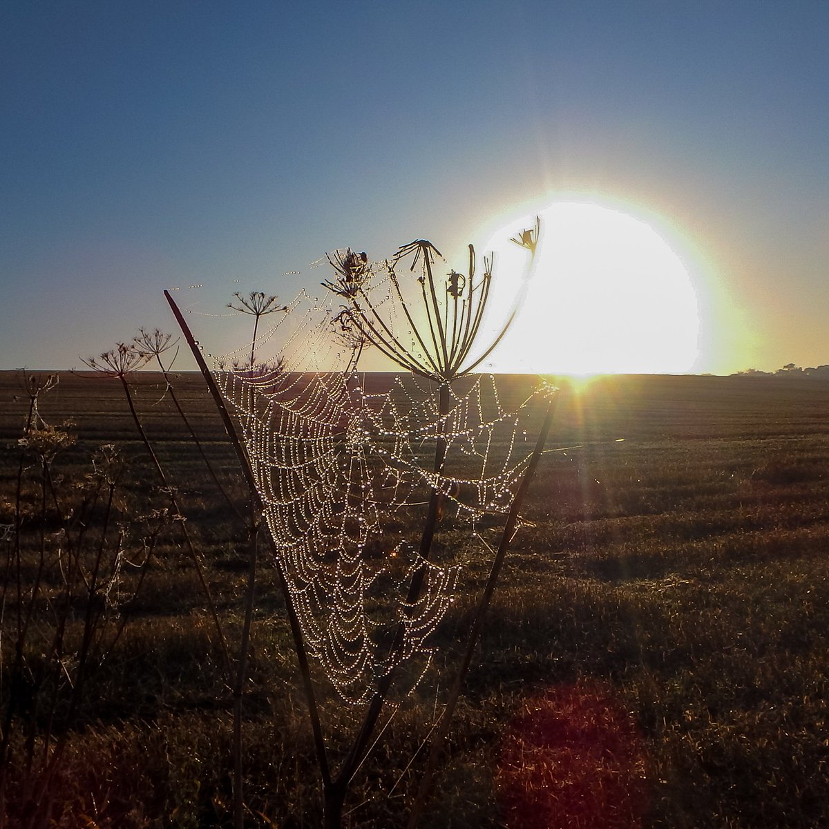 ApertureF2's tweet image. This morning's sunrise in the Yorkshire Wolds.