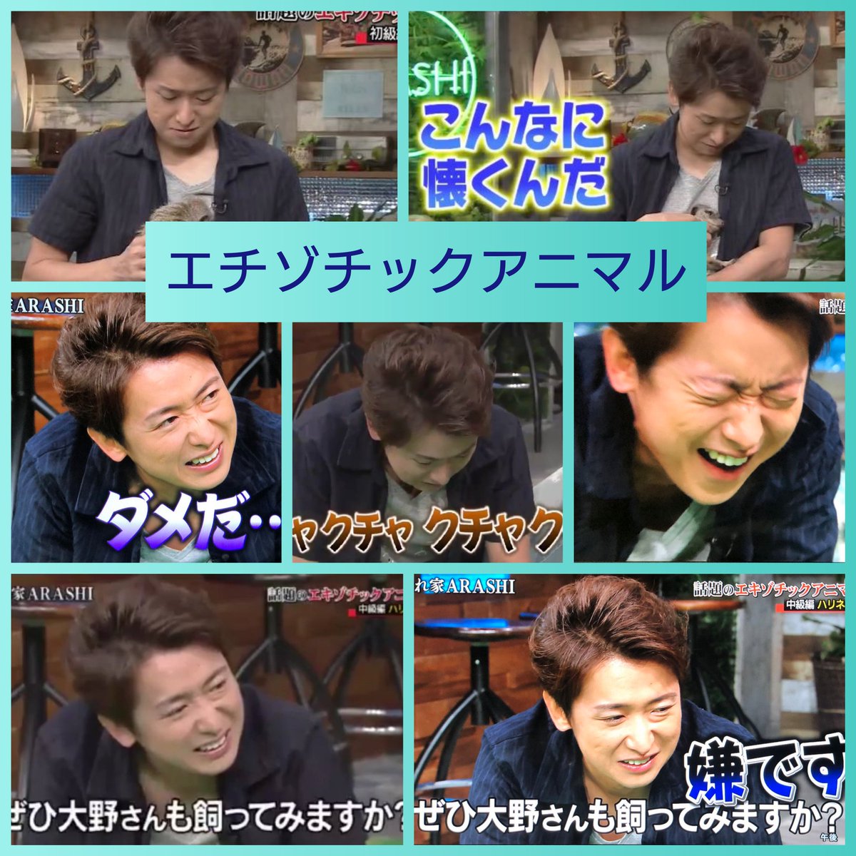 か じ Ilove 嵐 Ilove 5dream Ar Twitter 隠れ家嵐 エチゾチックアニマル特集ということで最初にミーアキャットと次にハリネズミ ミミズク 最後はナマケモノ 笑 ミーアキャットを抱いた時のさとちゃんめちゃめちゃ可愛いかった 艸 ミーア
