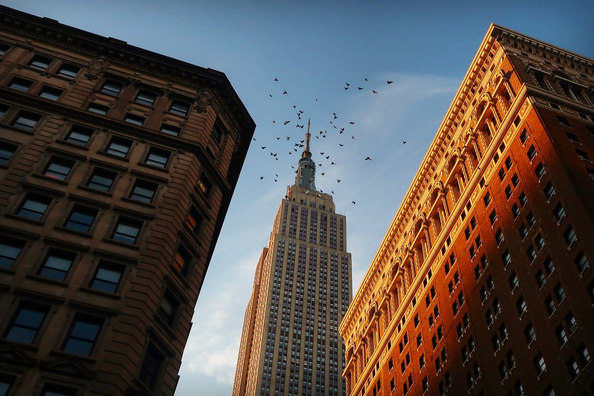 GaryHershorn's tweet photo. Sunrise with the Herald Square pigeons over the Empire State Building in New York City, Saturday morning.
#newyorkcity #nyc #newyork @empirestatebldg #sunrise #heraldsquare @agreatbigcity https://t.co/HbPpxoDuV0