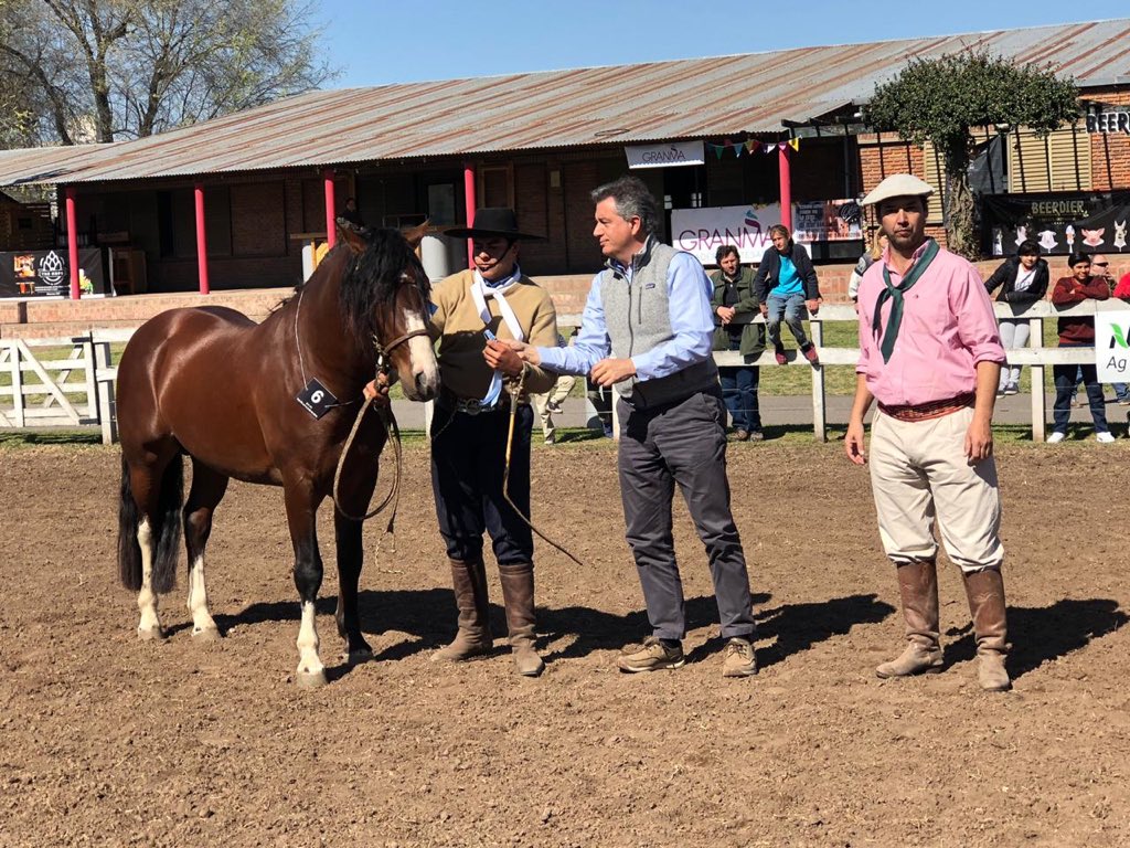 Felicitaciones a la cabaña Don Andres por el premio al Gran Campeón Macho Criollo en la Expo Salto. Ganadería argentina de calidad!