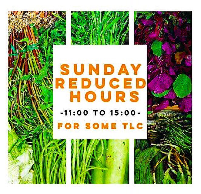 SUNDAY REDUCED HOURS!! -11:00 to 15:00-

This Sunday 22nd of September we will be operating on reduced hours to carry on some works and give the shop some TLC!
🌳
#zerowaste #bulkmarket #bulkmarketuk
#zerowastehackney #plasticfree #plasticfreeliving