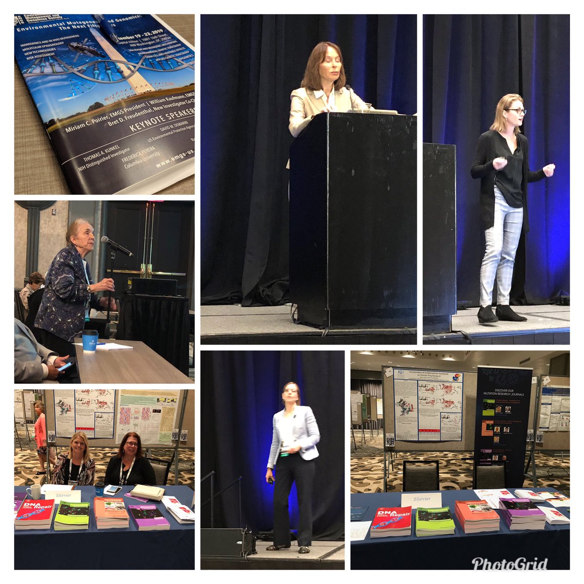 Andrea Hoogenkamp tweet media