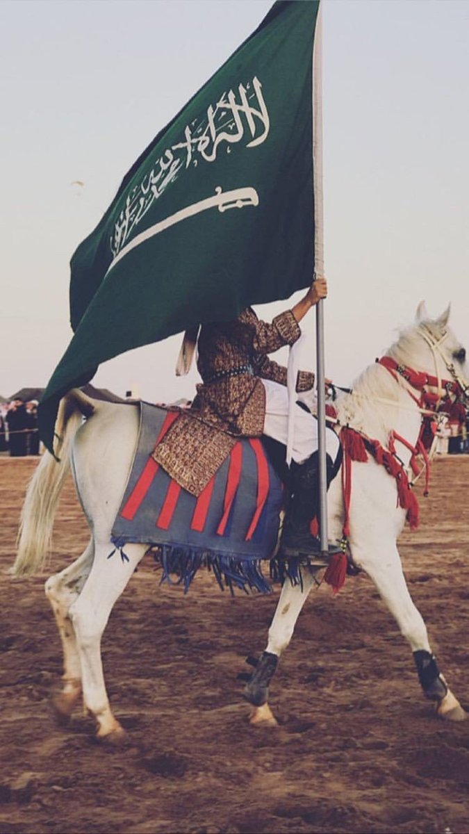 Polaarr18's tweet photo. خلفيات /#اليوم_الوطني_السعودي_89 https://t.co/RoWpSZM0N8