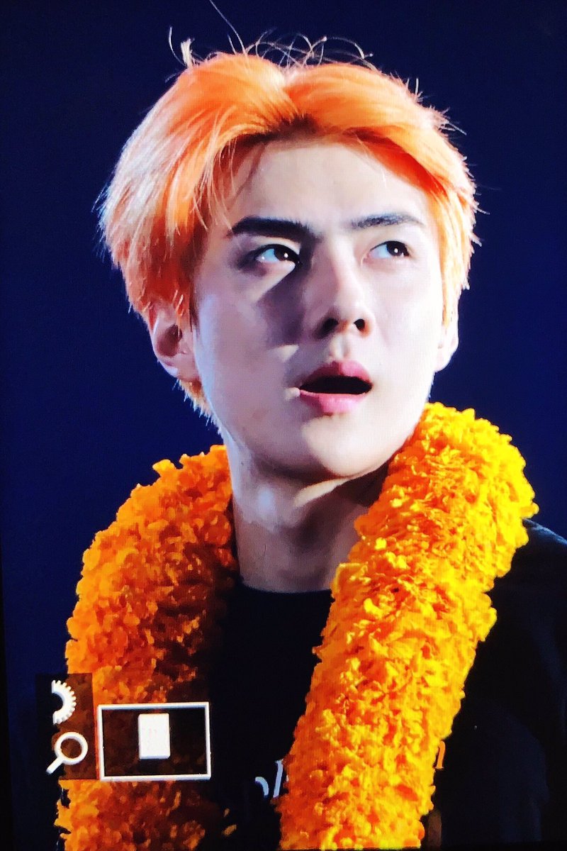 dearmyspring_sh's tweet photo. #세훈 #sehun 긔야워 ㅠㅠ https://t.co/503T5PnmcZ