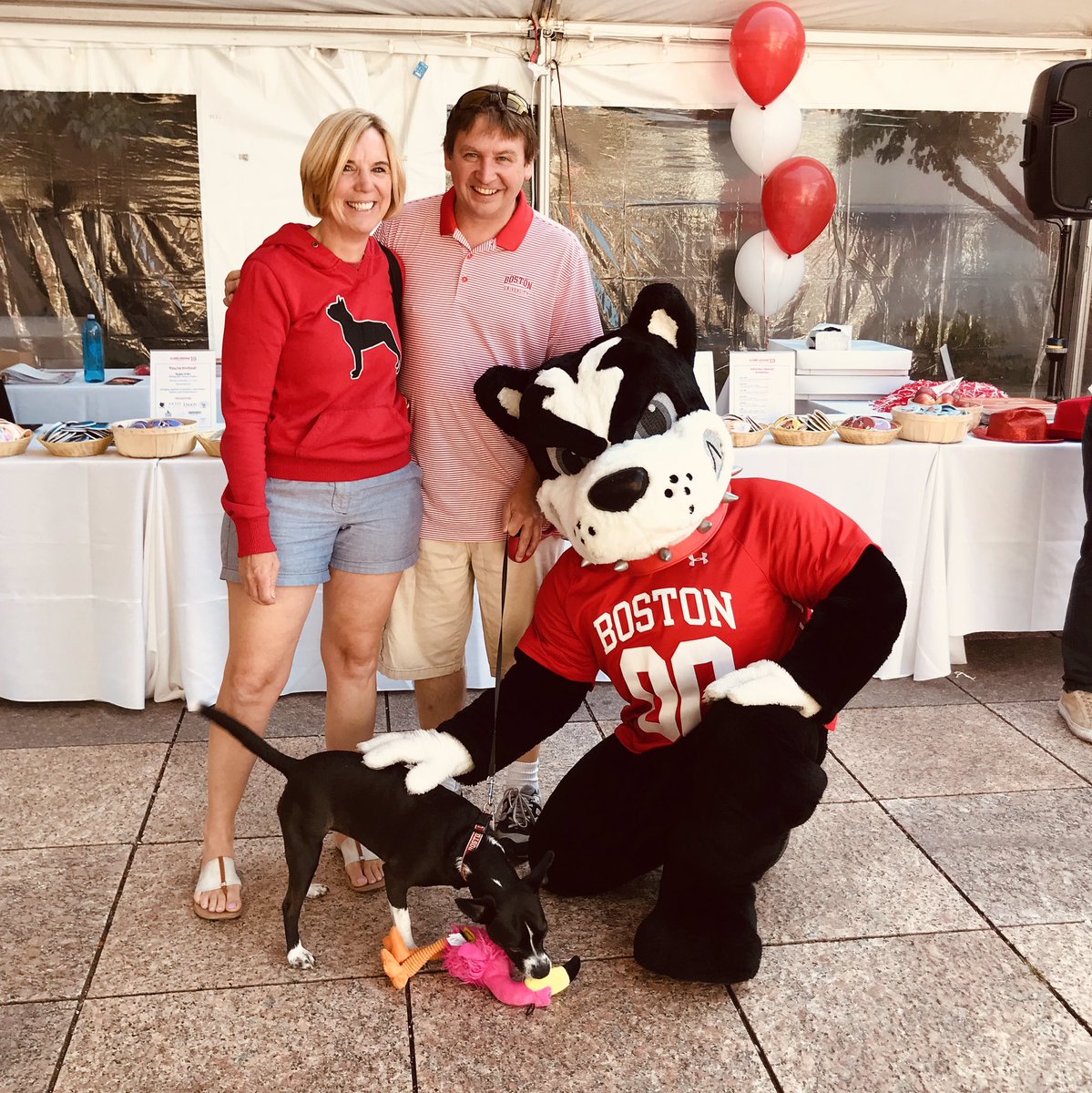 bualumni's tweet photo. Woof woof! We’ve got some puppies in the house. 🐾 

#BUAlumniWeekend https://t.co/LzGyEcX5i6