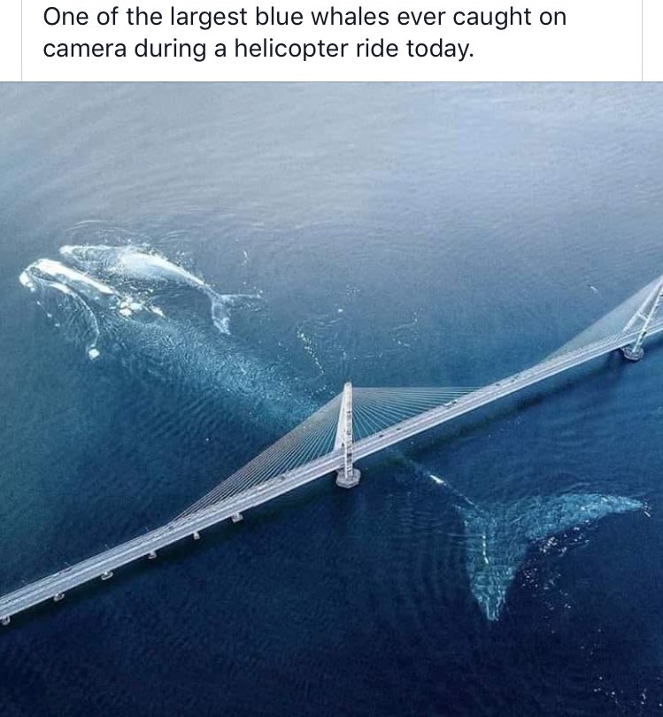 😯 I will be showing my students this on Monday!  #Perspective