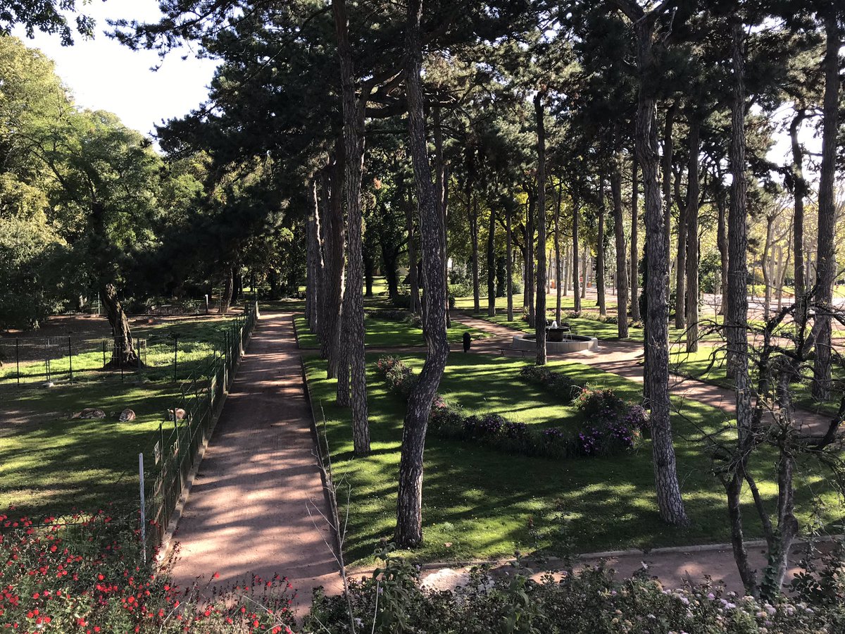 LAMIKDO's tweet photo. SuccĂšs lors des #JEP2019 de lâhĂŽpital Saint Jean de Dieu Ă Lyon #ARHM plus de 100 personnes sur les visites proposĂ©es. https://t.co/NrJ27sYgGQ