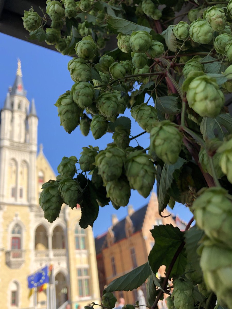 Genevra Charsley tweet media