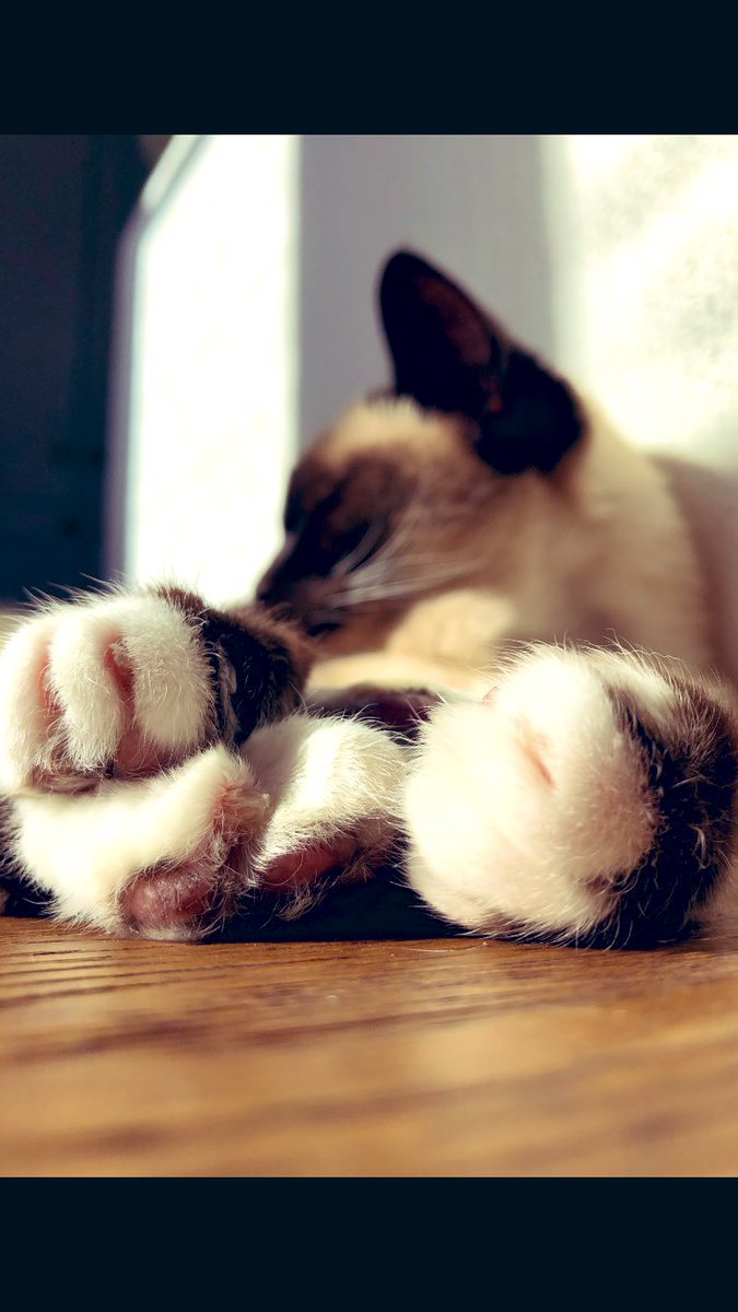 rickygervais's tweet photo. A huge pile of feet. https://t.co/rkhyhkPXCv