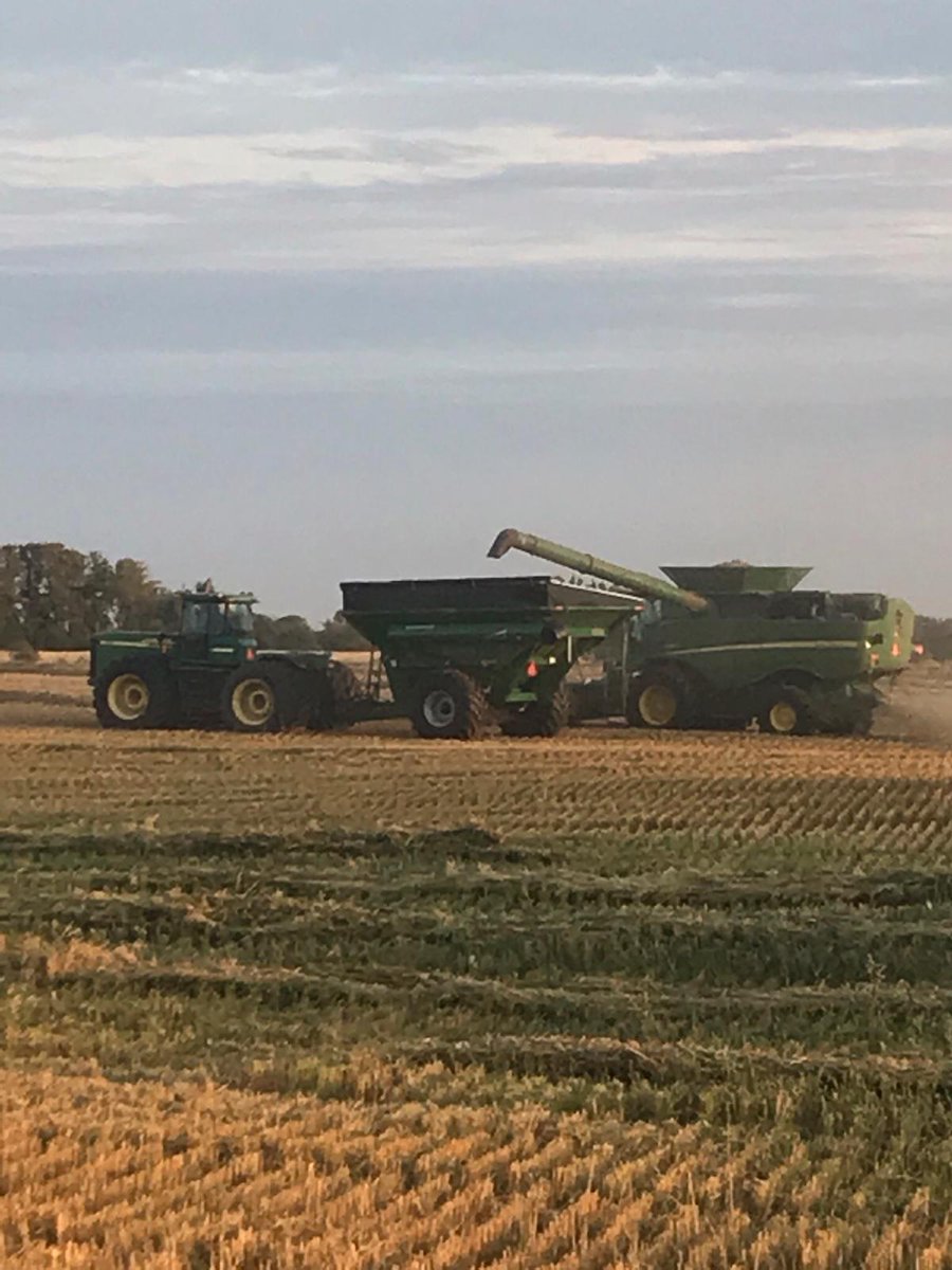 KnightSeeds's tweet image. Thanks @dcmartin29 and @shdayton for the #demco grain cart. Trying to keep the trucks out of those wet fields. #harvest19 #JohnDeere