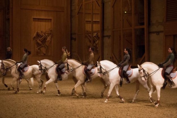 Monokeros4's tweet photo. L'académie équestre de Versailles ouvre les portes des Grandes Ecuries du Château, n'hésitez pas à aller y faire un tour. #JournéesDuPatrimoine #Bartabas #monokeros4 #madeinFrance🇫🇷  #equitation🐴 https://t.co/NZUs2pR6Vh