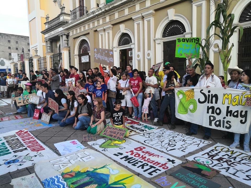 maxcorreah's tweet photo. La vida humana tiene esperanza, los jóvenes y la conciencia de los niños para reconocer que la Madre Tierra es un ser vivo que tiene derechos y que debemos respetar, representan esa esperanza de vida. 

La expresión global de ayer así lo manifiesta. 

#DerechosDeLaMadreTierra https://t.co/NHdT45o3AU
