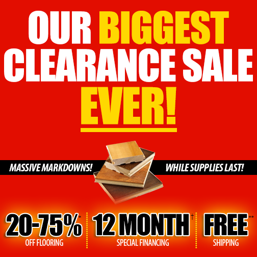 iFLOOR Team tweet media