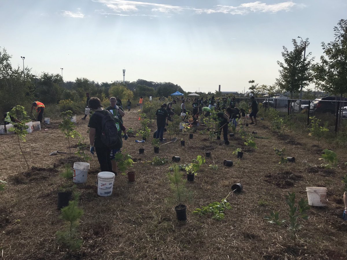BryarsMark's tweet photo. TD’s tree days. I’m at an event near Burloak and Rebecca. Urban reforestation project. 600 trees planted in 2 hours by volunteers and td staff. https://t.co/KE2zy3dmmk