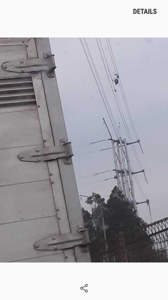 Andrieliu's tweet photo. @ElshintaDotcom ranting pohon diatas kabel SUTT di pintu tol kembangan selatan 1, mhn ditindak lanjuti https://t.co/SAS7fqhzpt