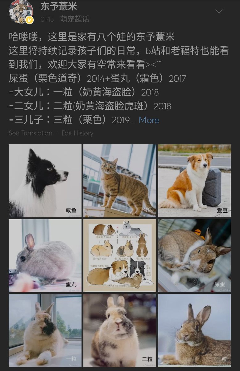 ˢᵖᵃᶜᵉ ᴮᵘⁿⁿʸ 🐰 อุนย่าม๋าไก่ tweet media