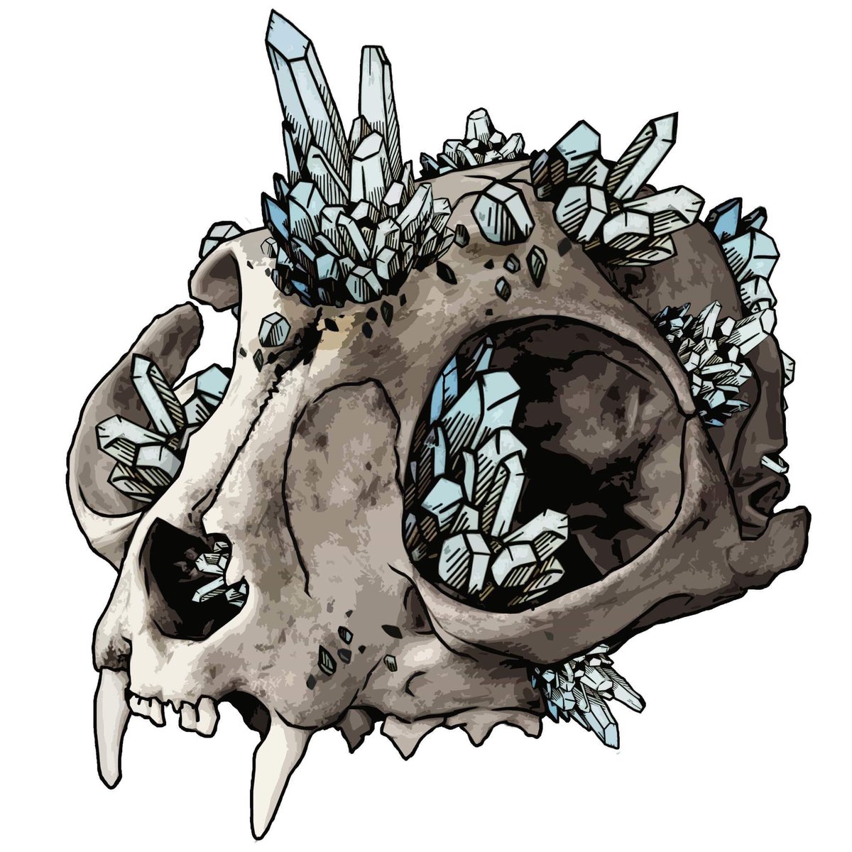 The chrystalline cat #dandyv