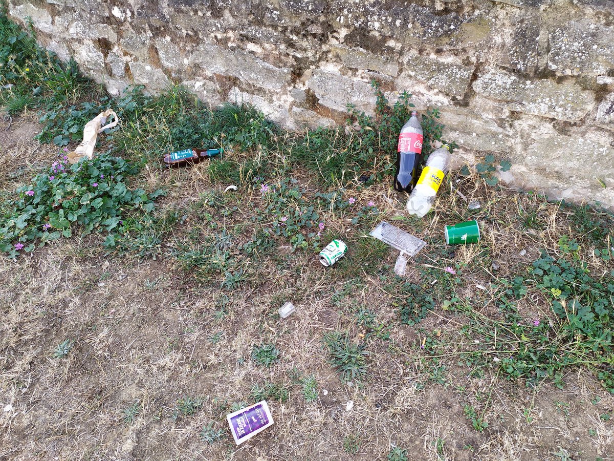 DonMaufa's tweet photo. @PamplonaIruna @DiariodeNavarra Así llevan los fosos de l ciudadela ya una semana. Está claro que ningún político saca a sus perros por aquí, sino seguro que ya lo habrían limpiado. Al final tendremos que hacer lo de siempre, limpiarlo nosotros. De vergüenza. https://t.co/WB8gNFFL2Q