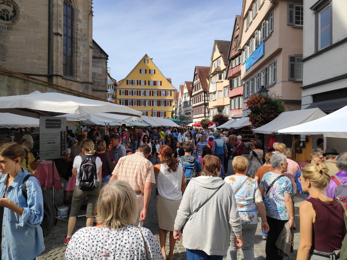 Tomorrow this will be part of the race course 😁🥰 #tuebingen #erbelauf #running