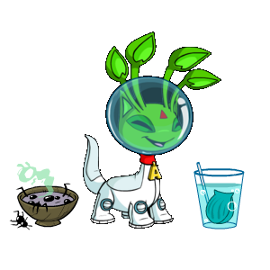 Yoomoh's tweet photo. @Neopets I just noticed this: The gross foods shop, run by this aisha named Vertigorix #MyNeoShop #NeoCreation19 https://t.co/dLoBc3Qe8S