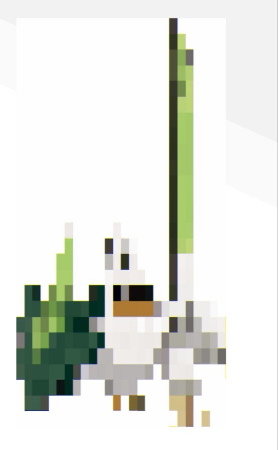 ヲタ ニコ生 謎の 新ポケモン について詳細がわからない今 妄想書こっかな 皆ネギを気にしてるけど 体色白で目元が黒と言えば デリバード マンタインの進化みたいに デリバードと カモネギ が合成進化で