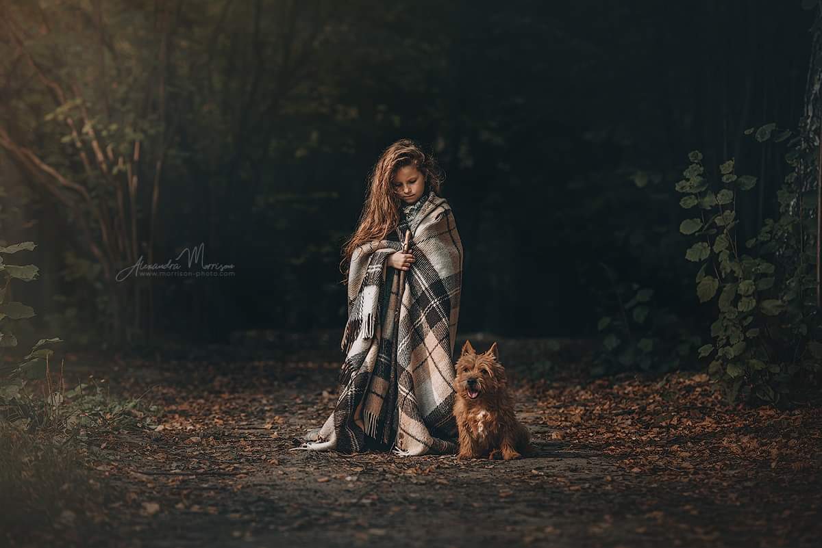 morrisonaleks's tweet photo. • Forest tales...🌿🍂🍁•
#norwichterrier #terrier #norwich #girl #kidanddog #dog #breed #englishbreed #autumn #autumnphoto #moscowautumn #moscowphotography #kidphotography #kidphotoshoot #friends #bestfriends #warmautumn #foresttales https://t.co/l2WZYcMqQN