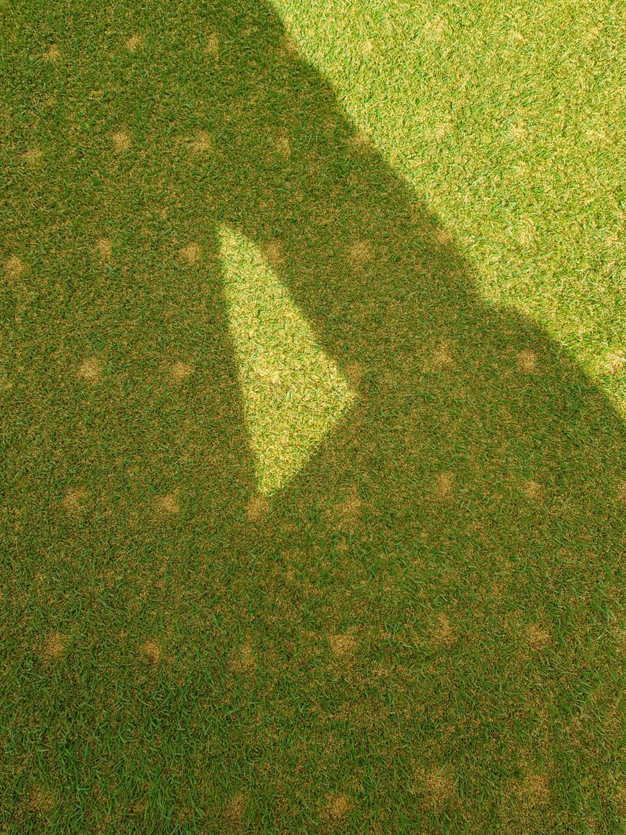 Busy but productive week. Greens cored/seeded &amp; dressed with 60 tonnes. Tees &amp; aprons cored followed by seed &amp; dressing next week. Nice to finally get some decent amount of sand into the profile.