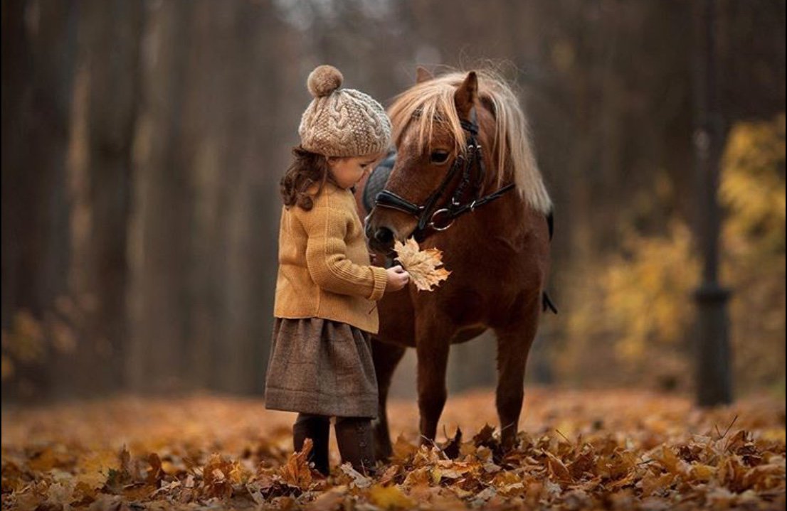 ramblingsloa's tweet photo. A little more kindness 
And a little less judgment.

Pic Titania Kudrova https://t.co/Z6f5r5DJyx