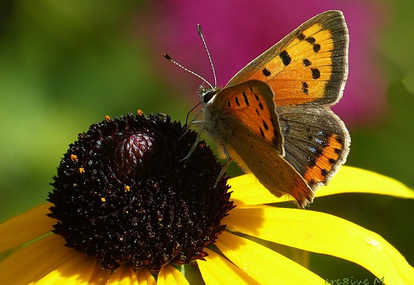 een heel fijn #nazomer weekend iedereen!