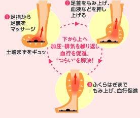 体細胞 自信がある 約 足 筋肉 痛 マッサージ Lionsofkush Com