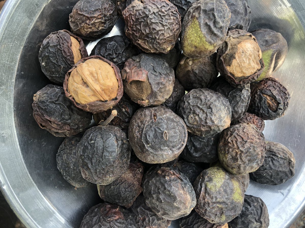 Halaal_Handle's tweet image. #اخروٹ 
#Wallnuts