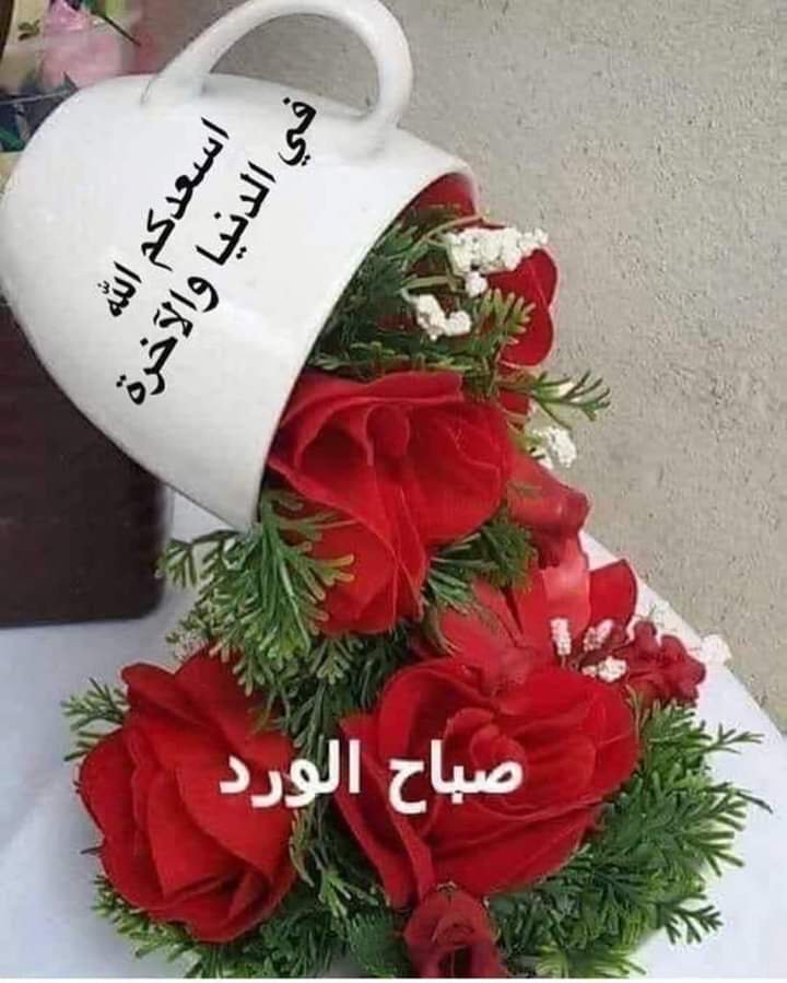 Mmk06906384's tweet photo. @Ss61940014 @W2IED83Ti4KrMFO https://t.co/TYoFfOPBJw