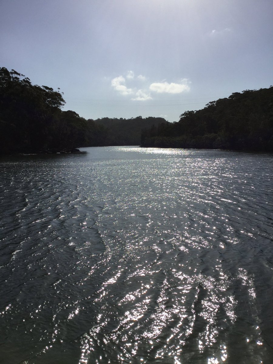 πππ₯π₯ ππππππππ (@matt_scadding) on Twitter photo Had the best walk today in beautiful surroundings in NSW national parks a great way to rack up tons of steps for <a href="/SteptemberAU/">Steptember Australia</a> #Steptember Had the best walk today in beautiful surroundings in NSW national parks a great way to rack up tons of steps for <a href="/SteptemberAU/">Steptember Australia</a> #Steptember